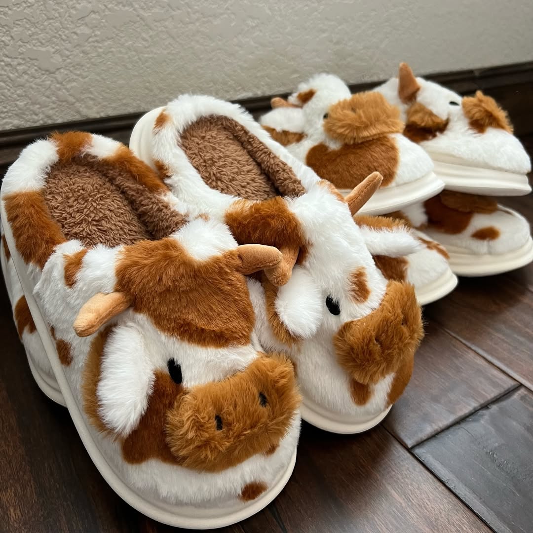 Nos pantoufles Cowzy