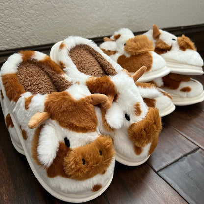 Nos pantoufles Cowzy